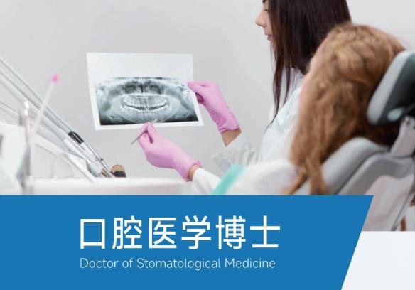 西班牙胡安卡洛斯国王大学CEDEU学院口腔医学博士